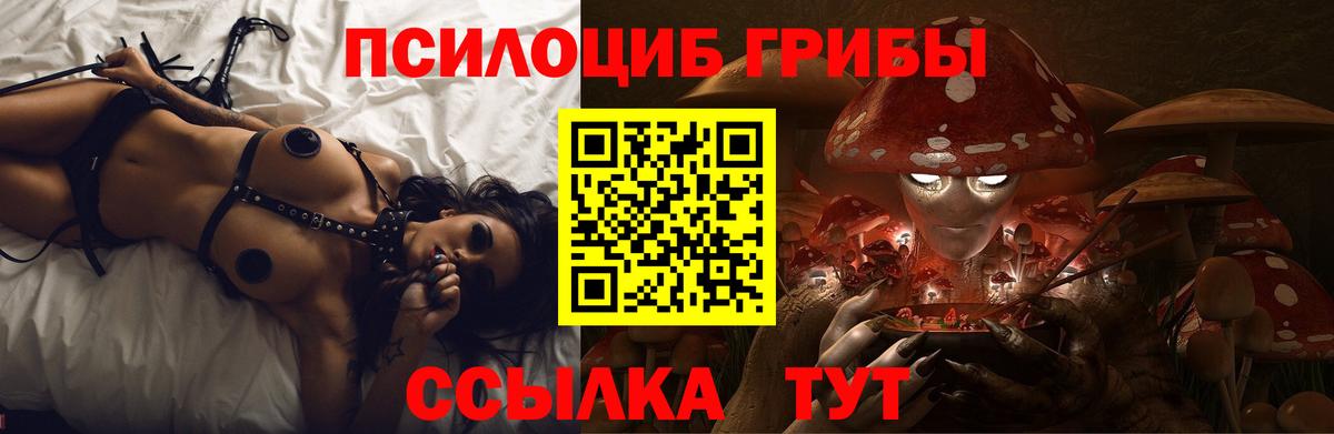 наркота  Псилоцибиновые грибы Magic Shrooms  Вход с VPN  Благовещенск 